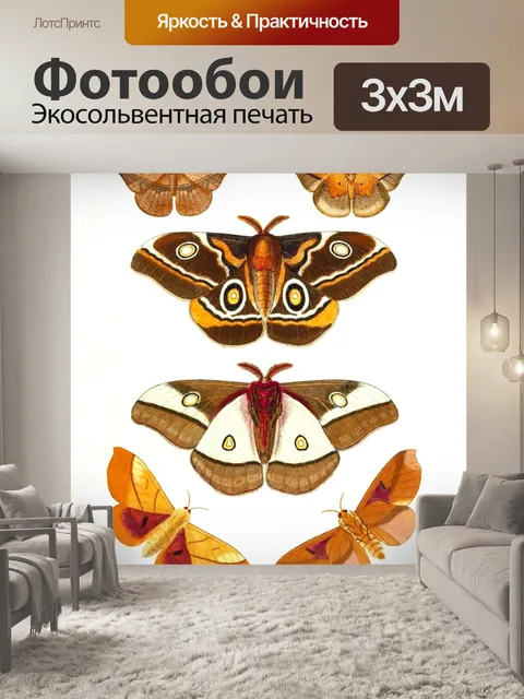 Фотообои Бабочка мотылек винтажное искусство