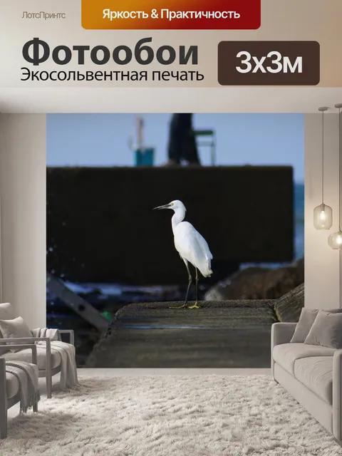 Фотообои Животное