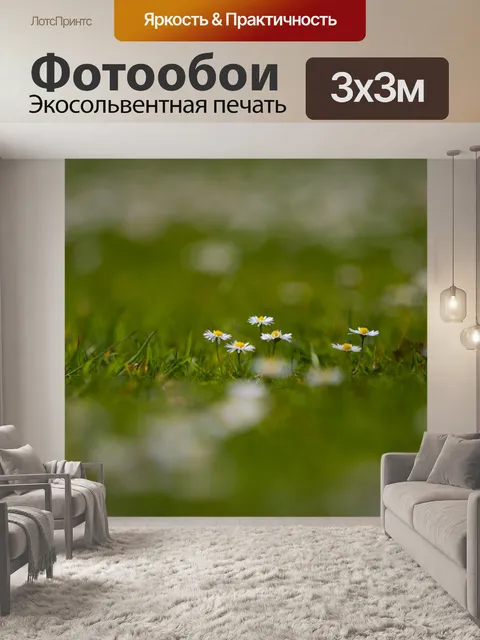 Фотообои Дейзи цветы