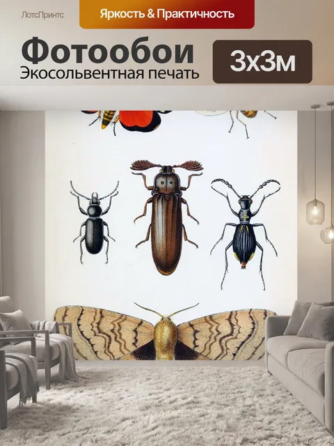 Фотообои Бабочки жуки винтаж старый