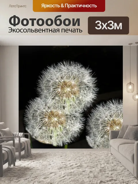 Фотообои Одуванчик