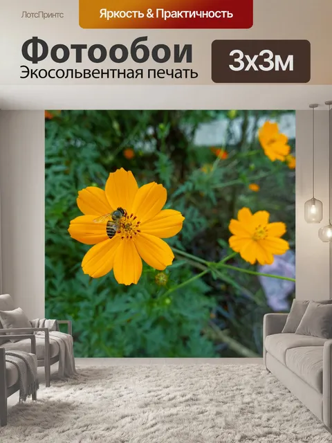 Фотообои Космос