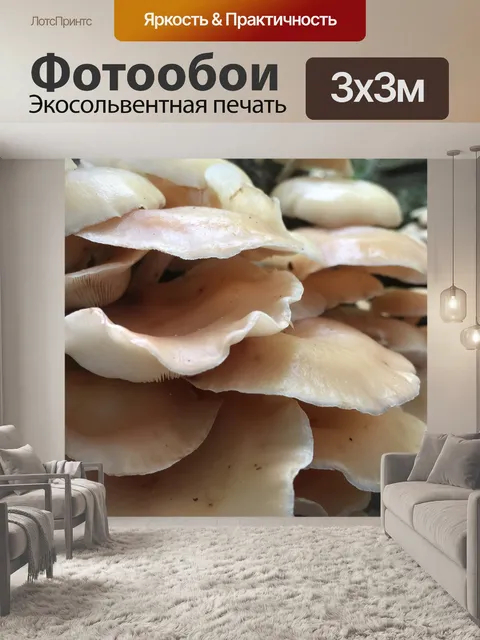 Фотообои Грибы