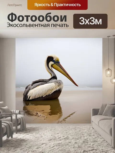 Фотообои пеликан, отдыхая на песчаном берегу во время тихого утра, окружающий мир тонет в утреннем тумане