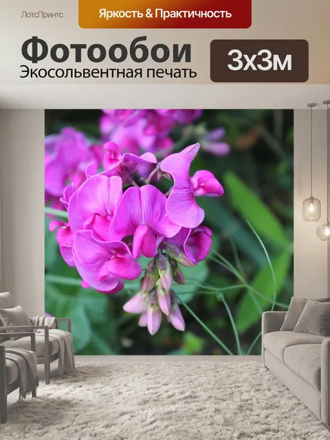 Фотообои Душистый горошек