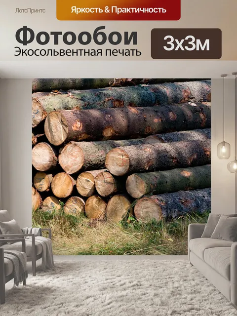 Фотообои Букет из поваленных деревьев