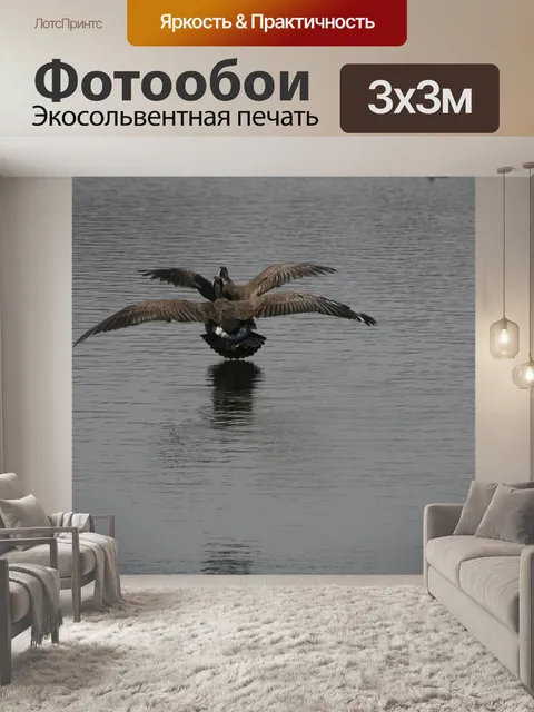 Фотообои Птица
