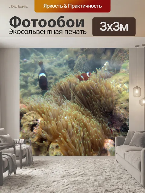 Фотообои красивые подводные рыбы 2