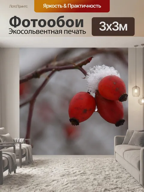 Фотообои Фрукты