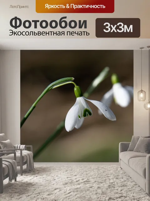 Фотообои Подснежники, белые цветы