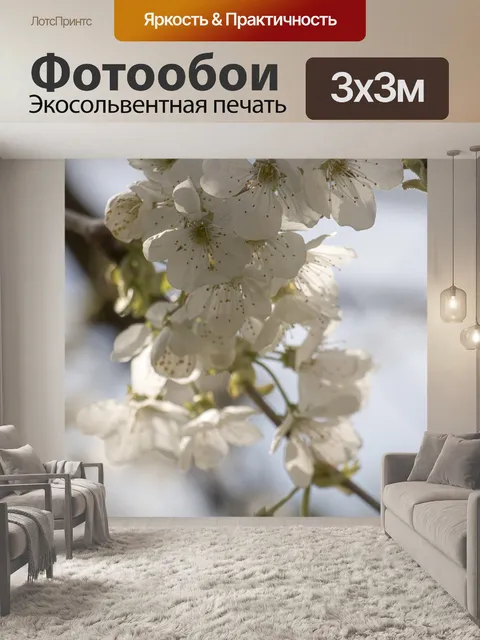 Фотообои Белые цветки