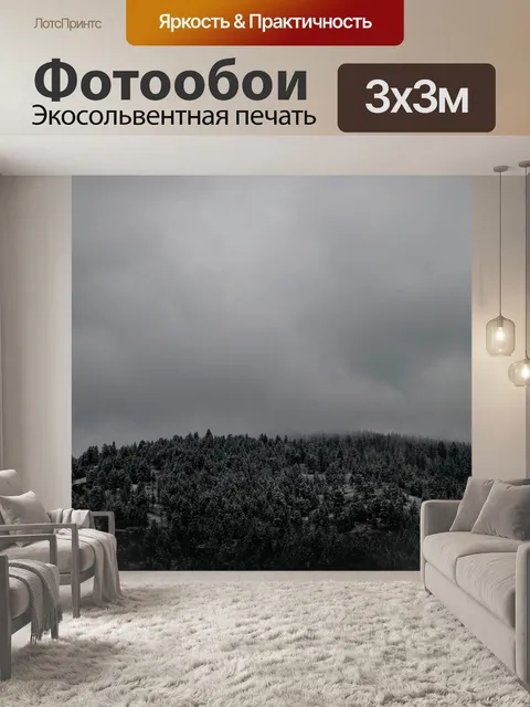 Фотообои Черное и белое