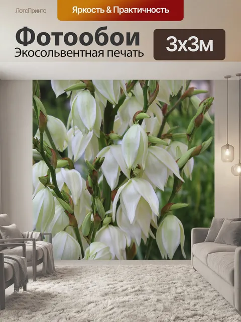 Фотообои Белая лилия