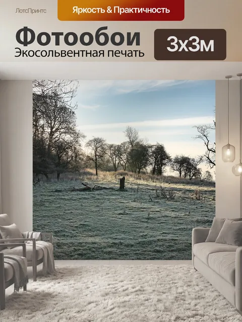 Фотообои Вырубка леса
