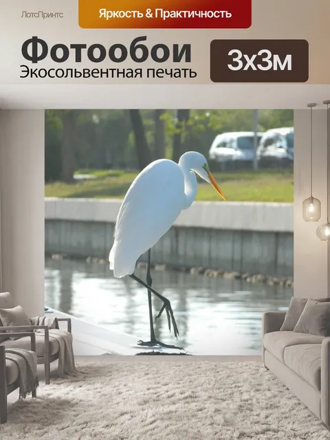 Фотообои Цапля