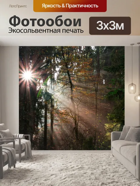 Фотообои Тевтобургский лес