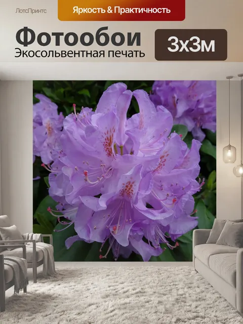 Фотообои фиолетовый цветок