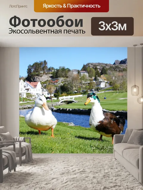 Фотообои Гусь