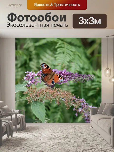 Фотообои Бабочка по имени - павлин дня