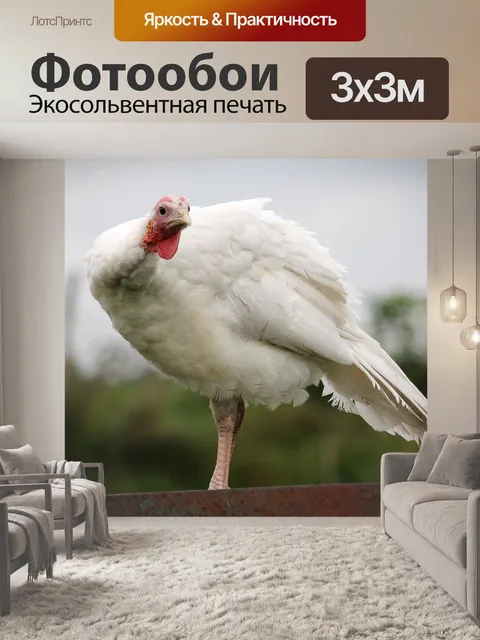 Фотообои Турция