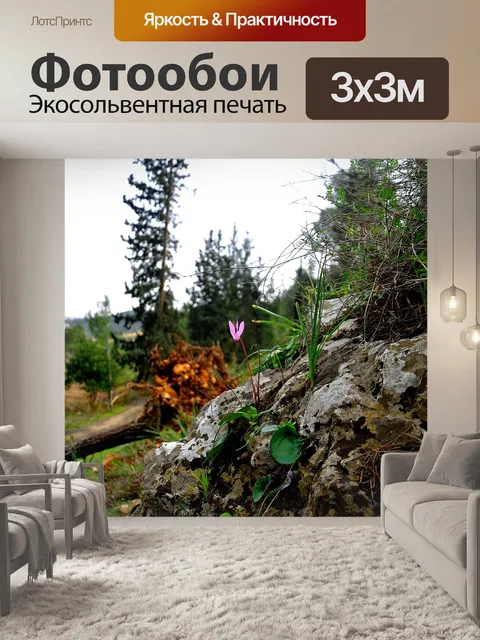 Фотообои Розовый цветок