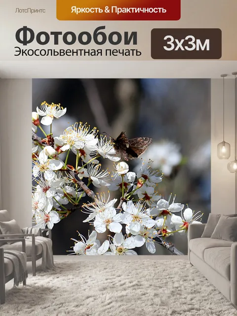Фотообои Цветок весны и бабочка