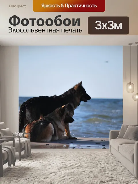Фотообои Собака