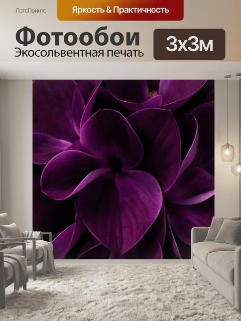 Фотообои Пурпурные лепестки крупным планом
