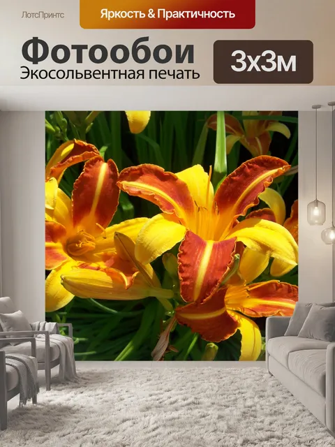 Фотообои Шалфейная лилия