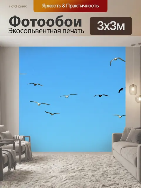 Фотообои Чайки летают