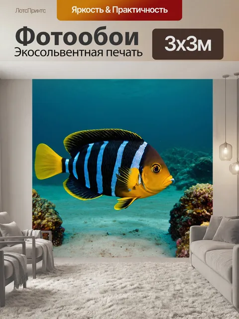 Фотообои рыба-арлекин, плавающая среди волны, создающей удивительную игру света и теней