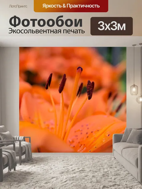 Фотообои Лили