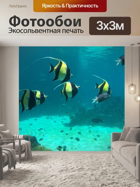 Фотообои Рыба-клоун
