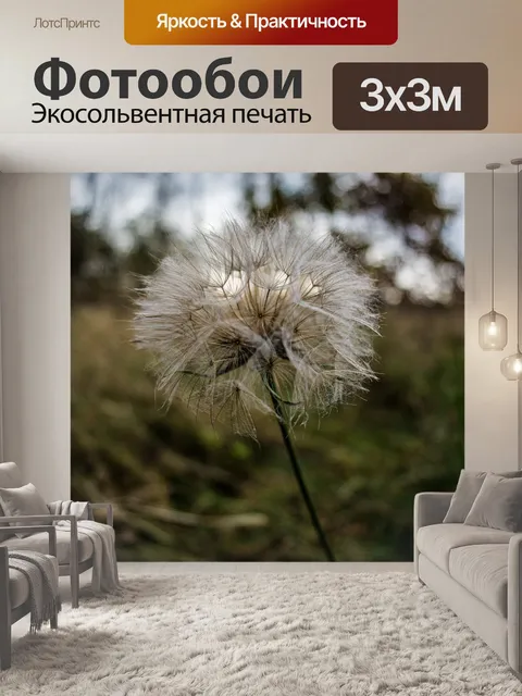 Фотообои Природа