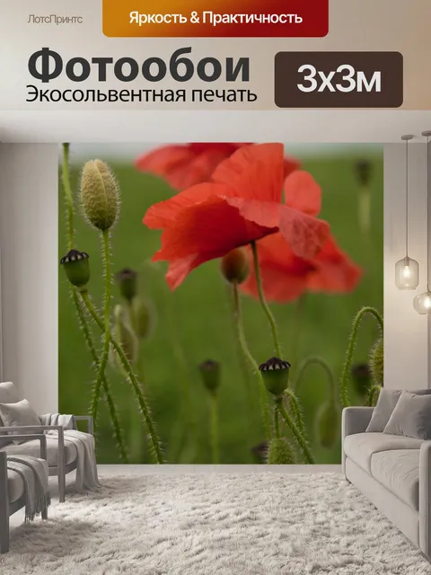 Фотообои Красный мак
