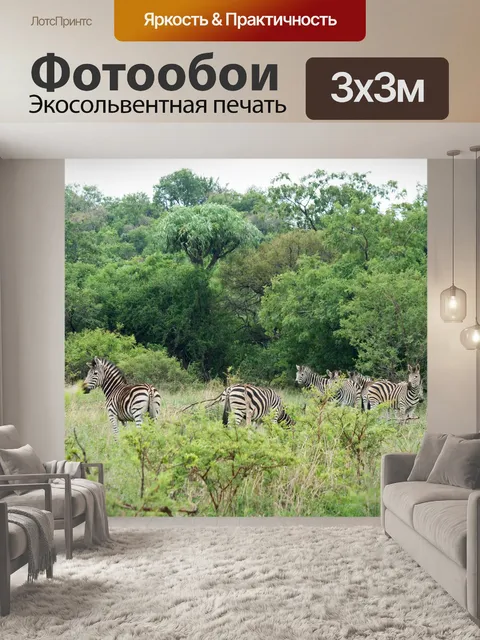 Фотообои группа настороженных зебр