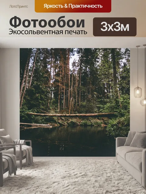 Фотообои Лес