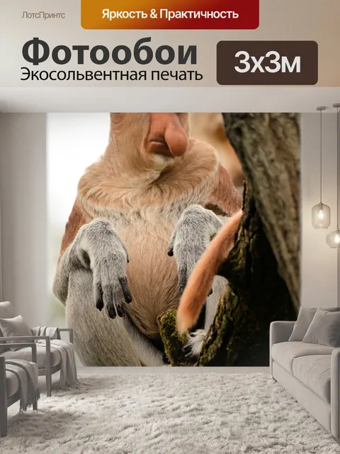 Фотообои Обезьяна хоботок 6