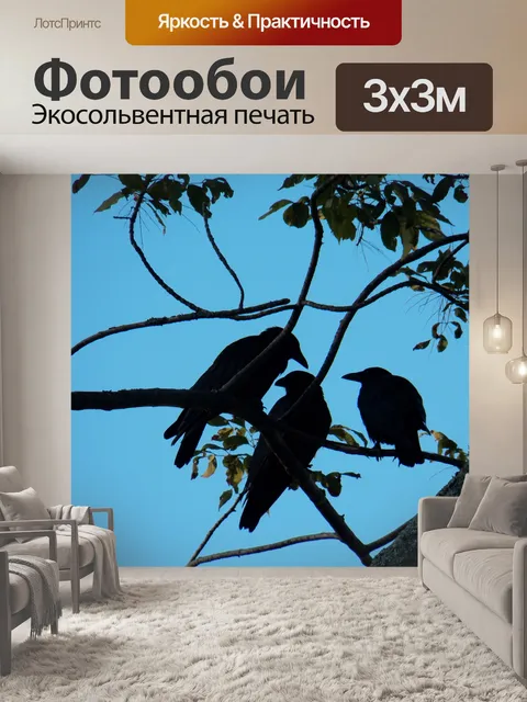 Фотообои Три вороны