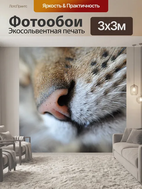 Фотообои Кошка