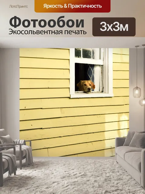 Фотообои Дом