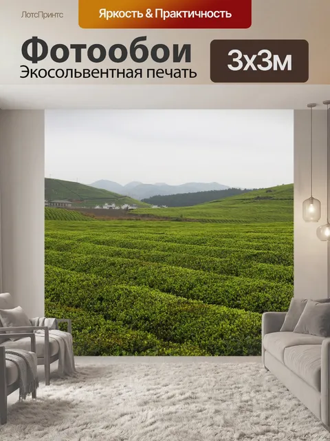 Фотообои Китай