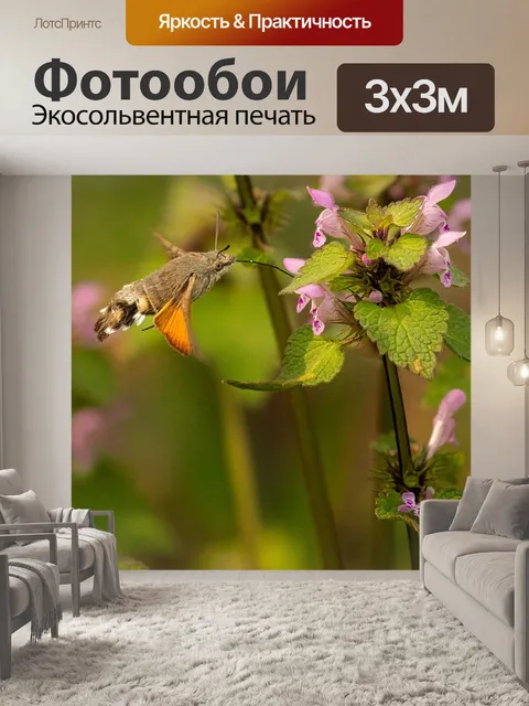 Фотообои Сфинкс