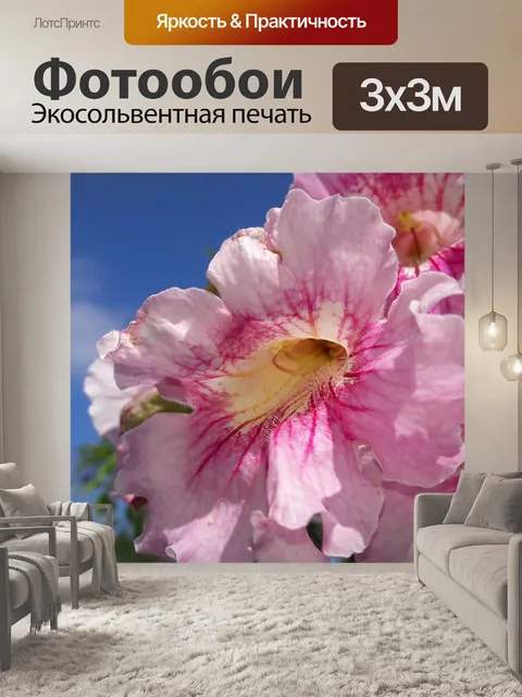 Фотообои Лиана флорида растение