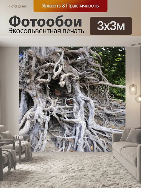 Фотообои Корень