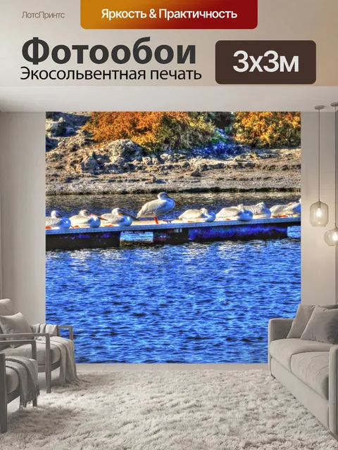 Фотообои Белые пеликаны