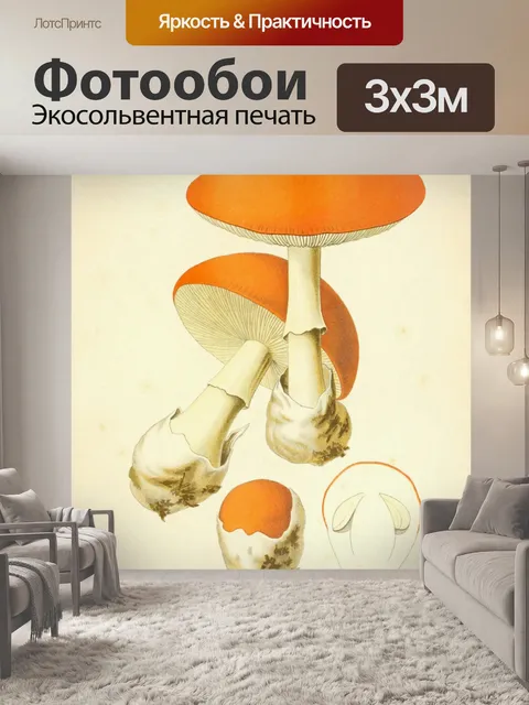 Фотообои Винтажная иллюстрация грибов чемпиона