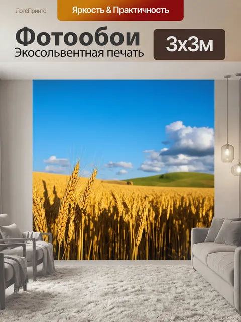 Фотообои поле, покрытое яркими золотистыми колосьями пшеницы, плавно колышется на ветру под ясным голубым небом