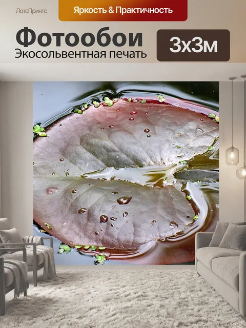 Фотообои Водяная лилия