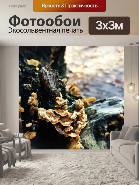 Фотообои Осень